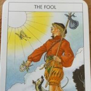 hallettnancy898 avatar