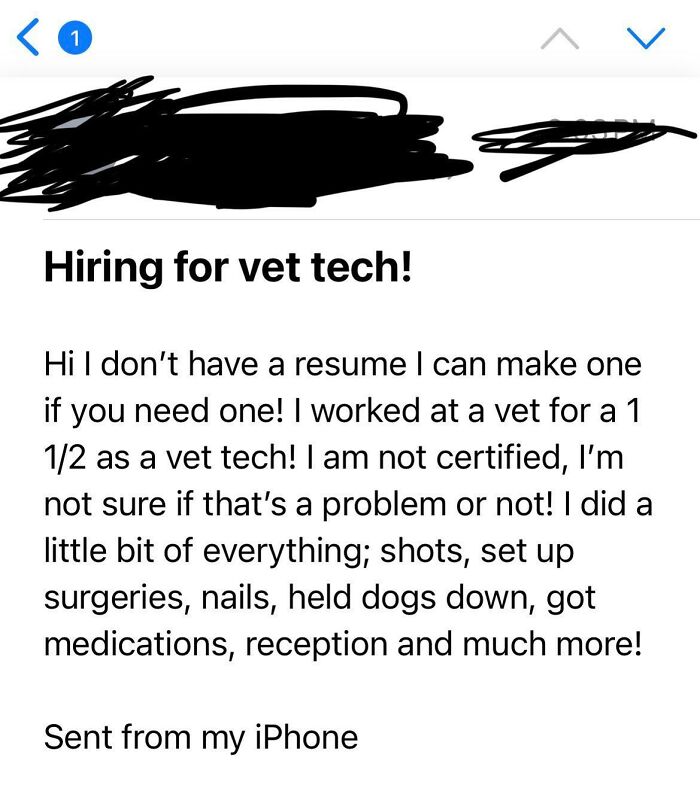Why Am I Getting Such An Influx Of People That Act Like This Is Not A Professional Job? Yes, You Need A Resume, And Sorry We Don’t “Hold Dogs Down”