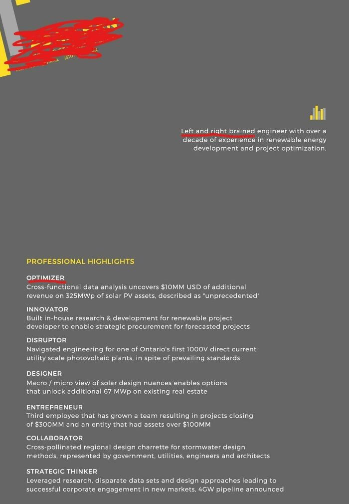 "Left And Right Brained Engineer" And "Optimizer" Sends Our Office 3 Pages Of The Most Unnecessarily Ink-Wasting Resume Ever