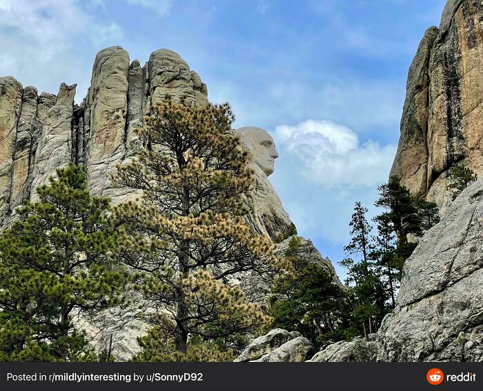 Mt. Rushmore. George’s Side Profile