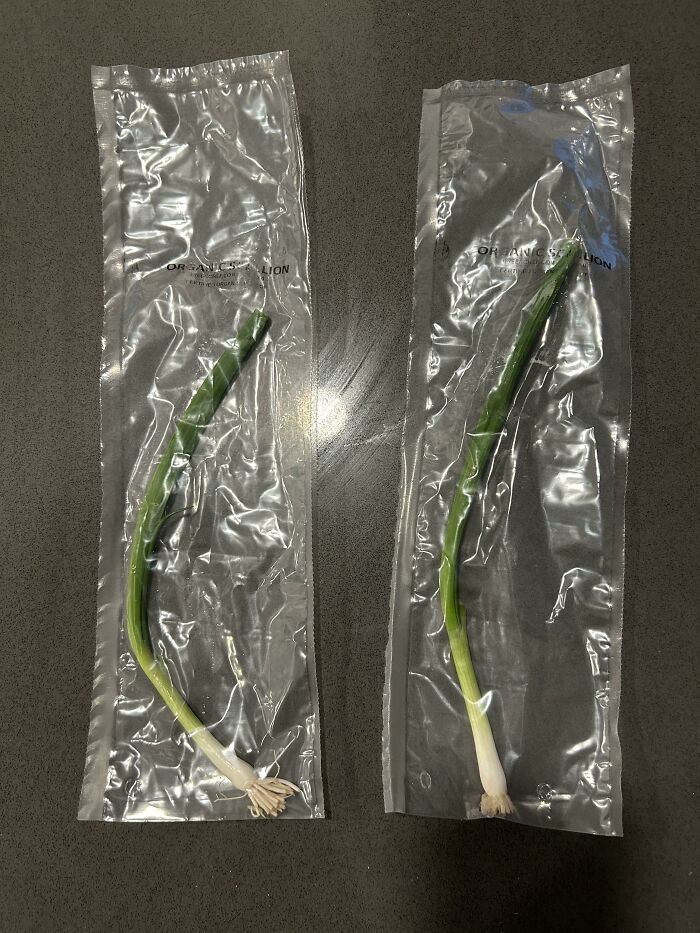Green Chef Sent Me Two Separately Packaged Green Onions For The Same Recipe