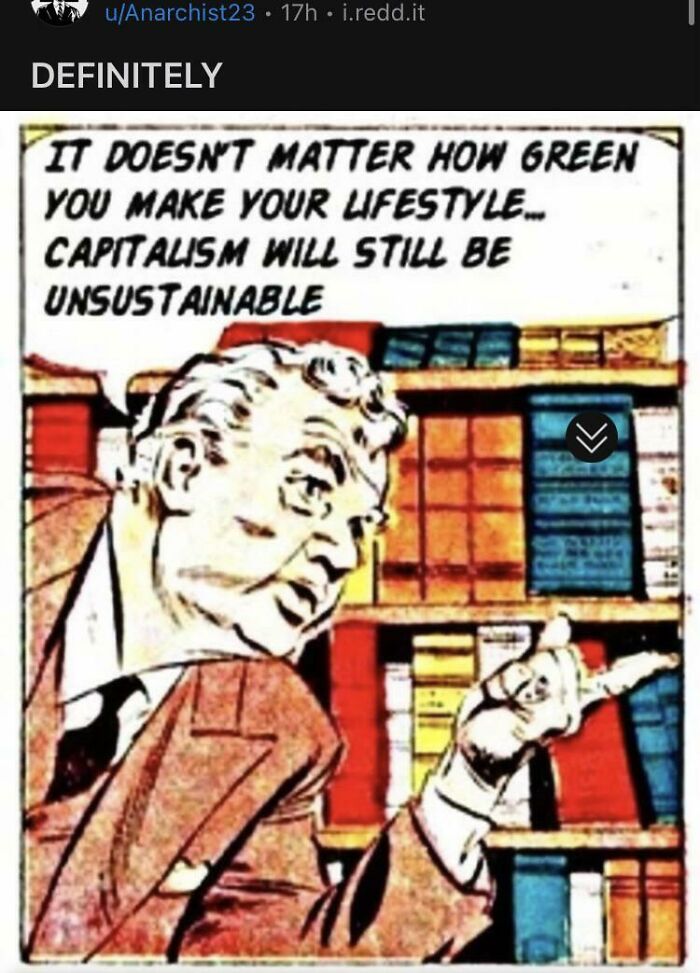 We Can Do Our Best But At The End Of The Day The Force Of Capitalism Is What’s Destroying The Planet
