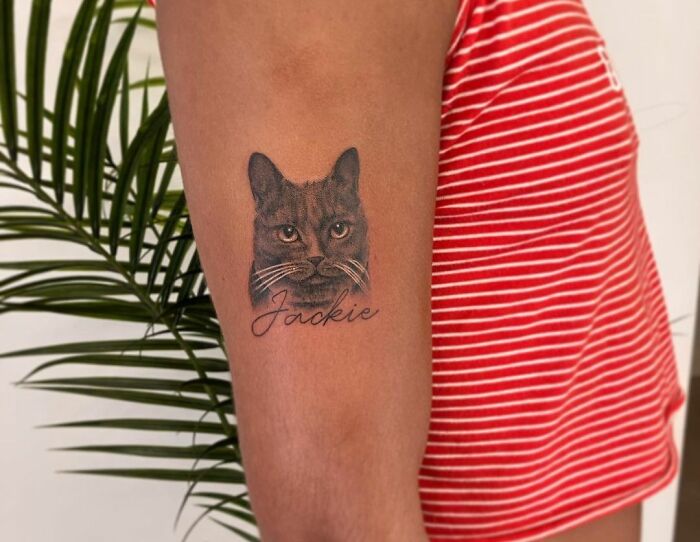 Realistic cat face with the name script arm tattoo