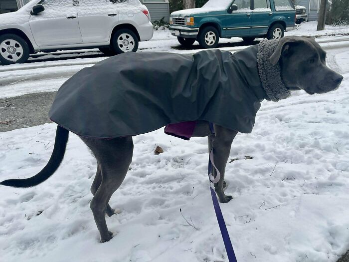 I Made Fig A Fleece Lined Hi-Vis Raincoat While Snowed In Today!