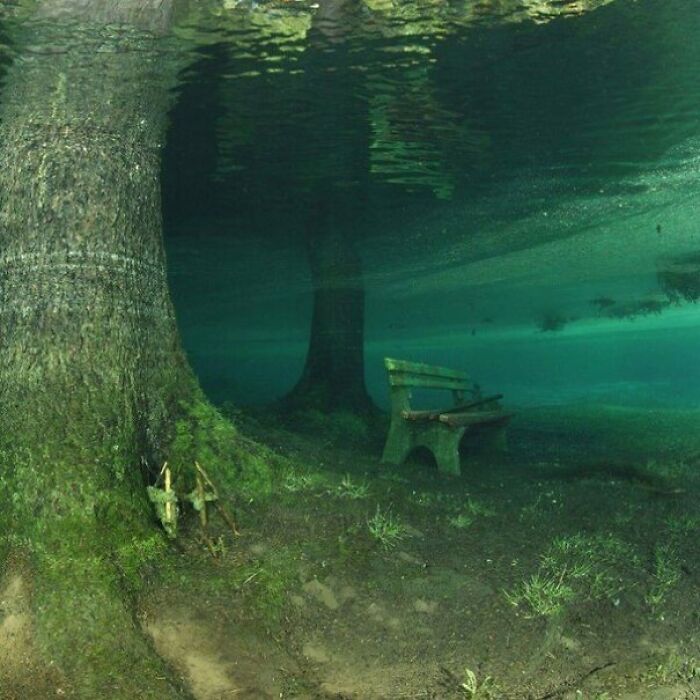 Submerged Park Bench