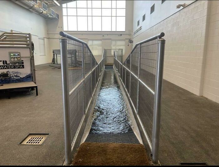 Equine Hydrotherapy. Good For Horsies, Bad For My Nerves