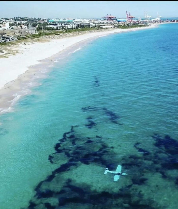 Plane Crashed Into The Beach (Pilot And Passenger Survived)