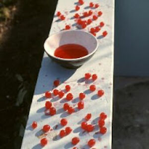 viviandarkbloom avatar