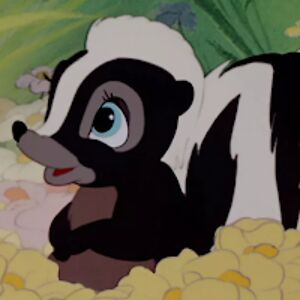 tashachristensen avatar