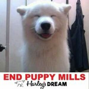 maryannsnow2514c avatar