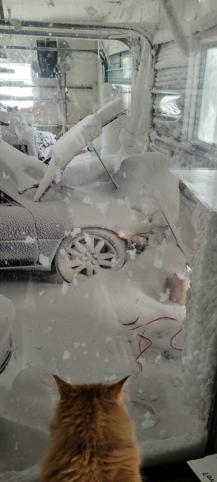 Blizzard Blew The Main Door Of My Garage Open Yesterday