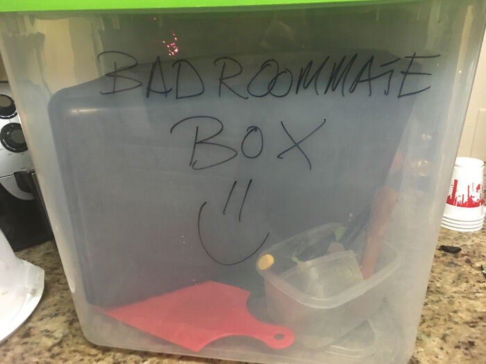 Update On My Jobless Roommate Who Won’t Do His Dishes. My Latest Invention: The Bad Roommate Box :)