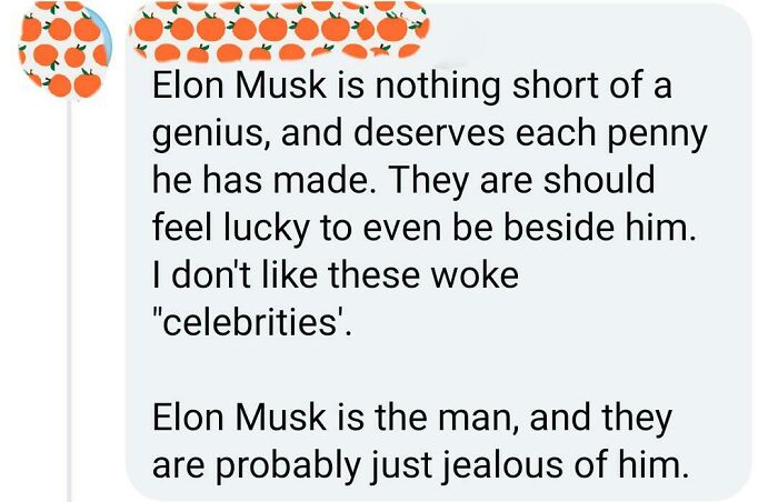 Elon Musk Fanboys Are Something Else