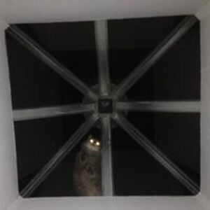 annielaurencepaulin avatar