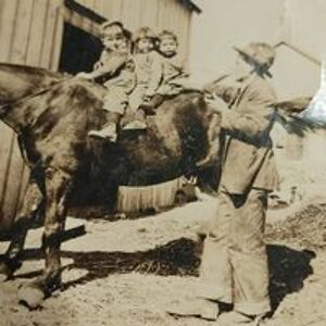 donna_lambert avatar