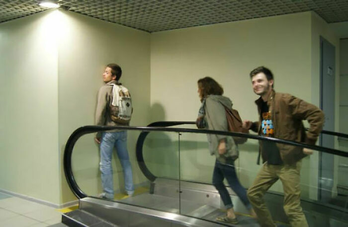 You Need A Trolley And An Owl To Get Off Of This Escalator