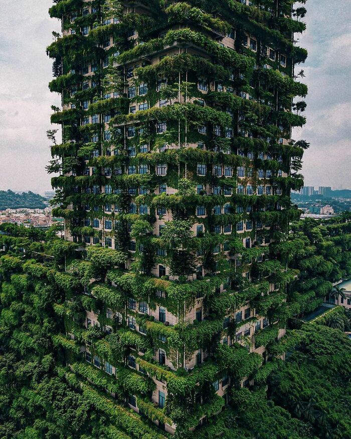This Vertical Forest In Foshan, China. This Building Is Fortified With Lush Vegetation That Fights Air Pollution By Absorbing CO2 And Producing Oxygen