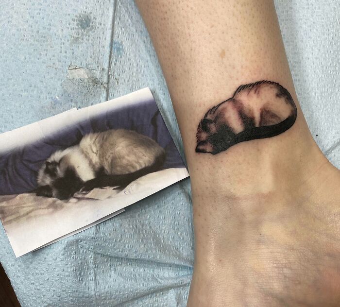 Sleeping cat ankle tattoo