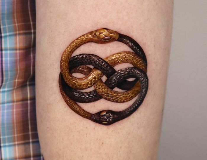 Snakes devouring each other infinity tattoo