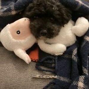 monty_cresser avatar