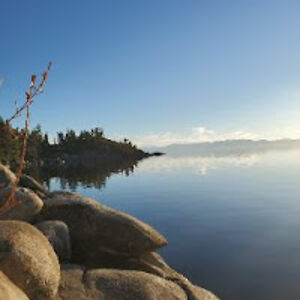 michellemiller_6 avatar