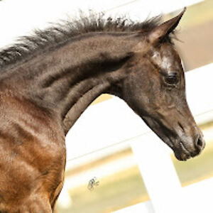 corporateofficeaccounting avatar