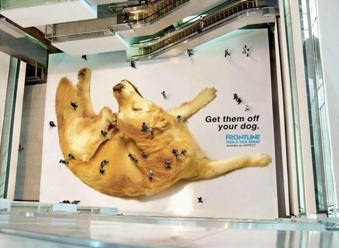 Publicidad de antiparasitario para perros