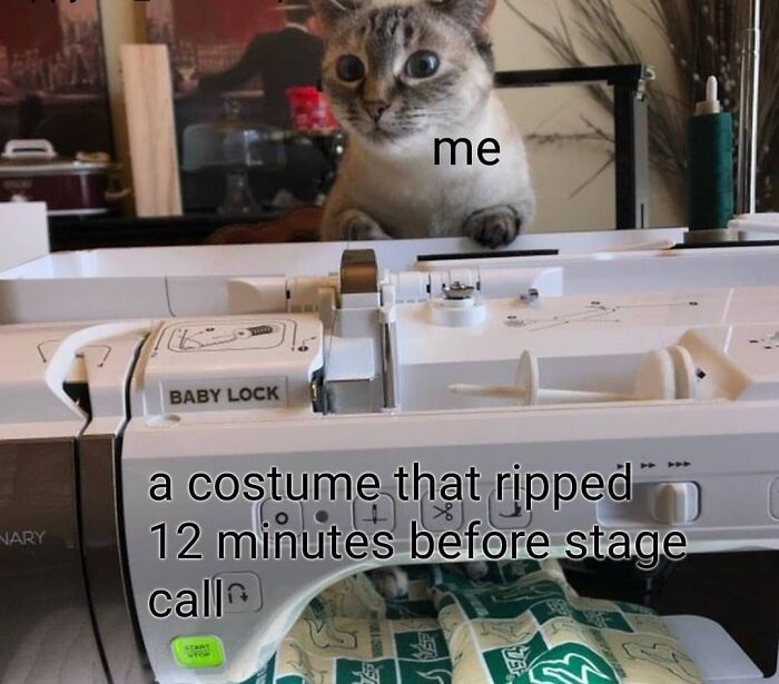 cat trying to fix a costume