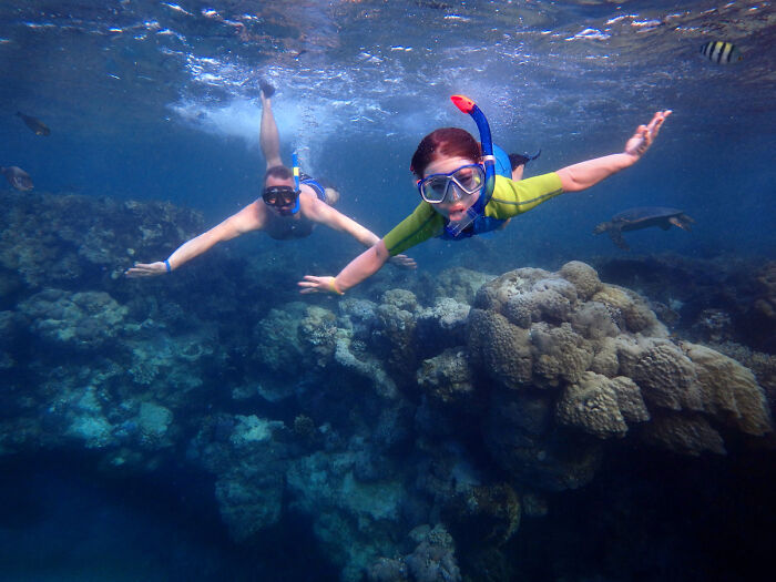Belgium (Photo Taken In The Red Sea, Egypt)