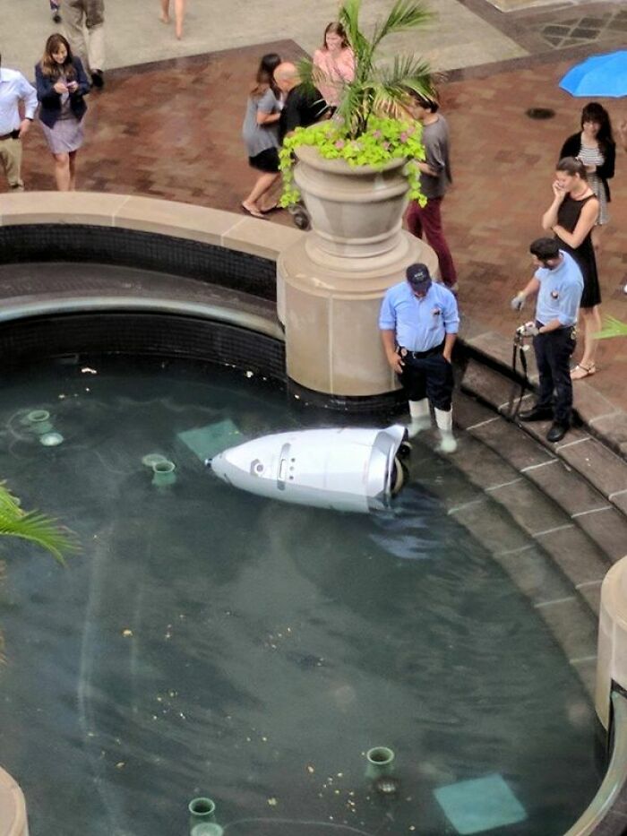 Our D.c. Office Building Got A Security Robot. It Drowned Itself