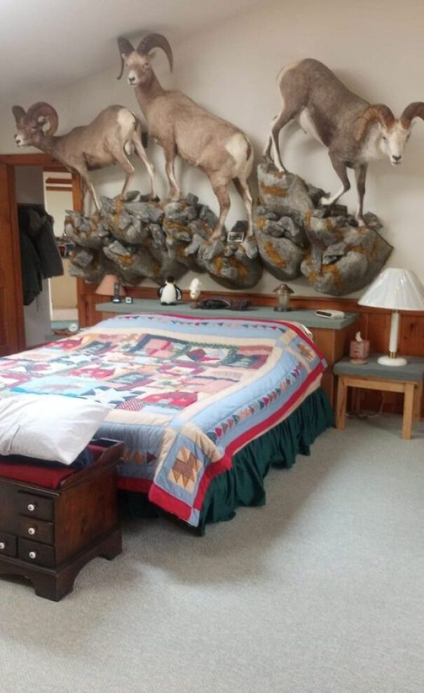 Bedrooms-With-Threatening-Auras-Photos