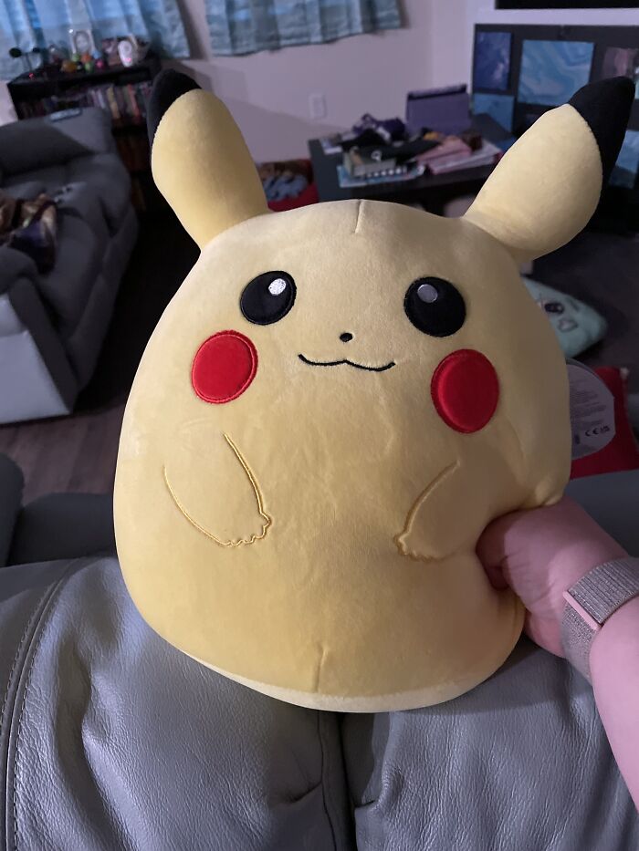 I Only Have This One, And It’s Because I Love Pokémon