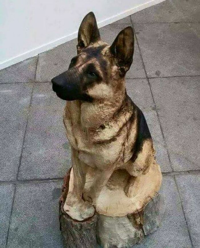 This Very Realistic Wood Sculpture