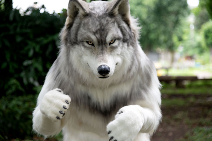 “I Feel I’m No Longer Human”: Man Spends $23,000 To Transform Into A Wolf “I Feel I’m No Longer Human”: Man Spends $23,000 To Transform Into A Wolf