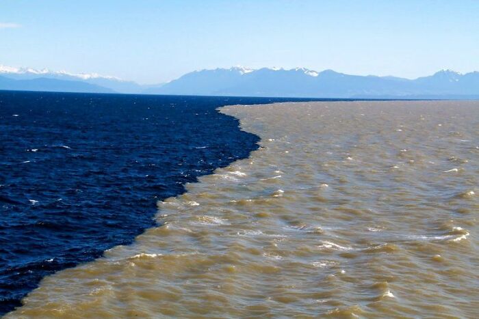 Where British Columbia's Silty Fraser River Water Meets The Pacific Ocean