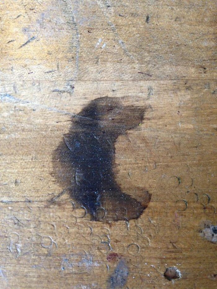 This Stain On My Table Looks Like A Dog Passionately Taking In A Sweet Smell