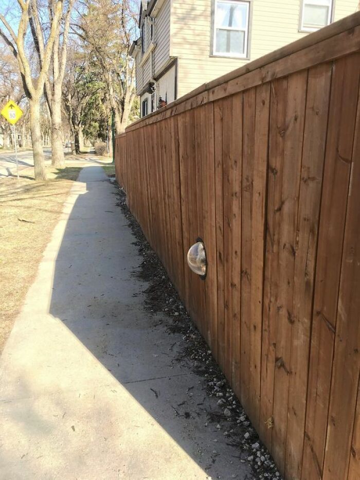 This Fence Has A Window For The Dog