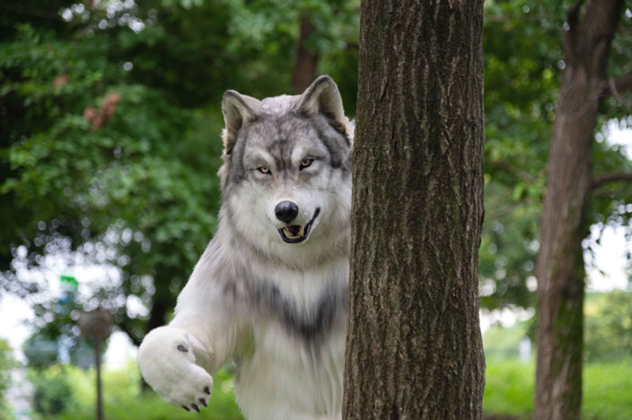 “I Feel I’m No Longer Human”: Man Spends $23,000 To Transform Into A Wolf