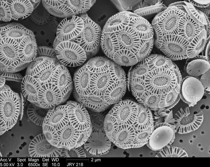 Tiza en un microscopio de electrones