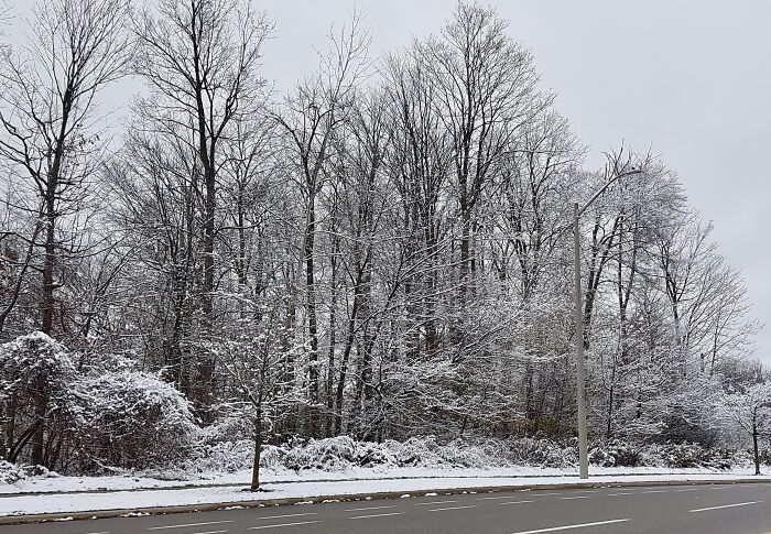 Along The Road In Kitchener