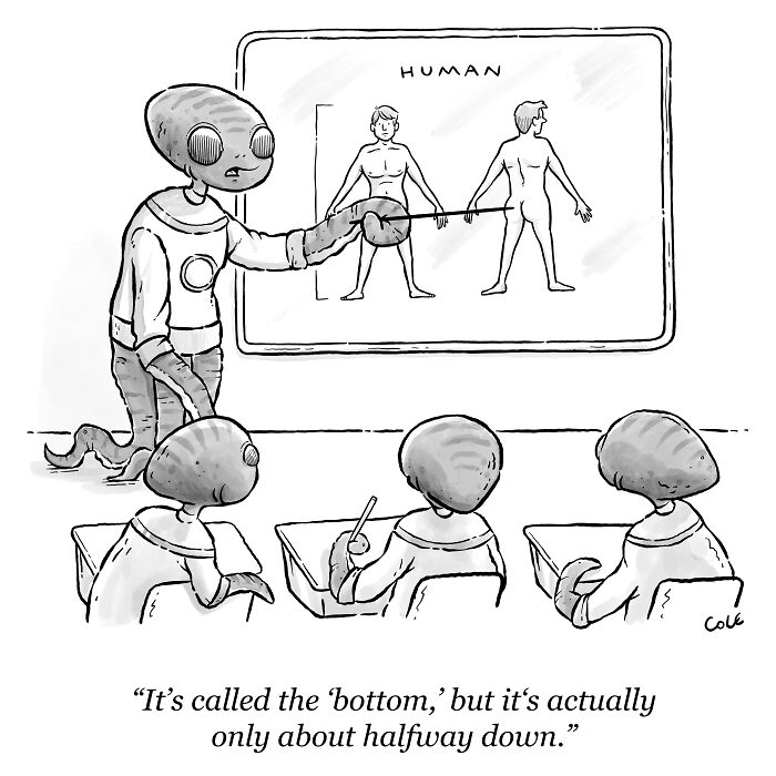 I've Been Making Single Panel Cartoons For Over A Decade. Here Are 40 Of The Best!