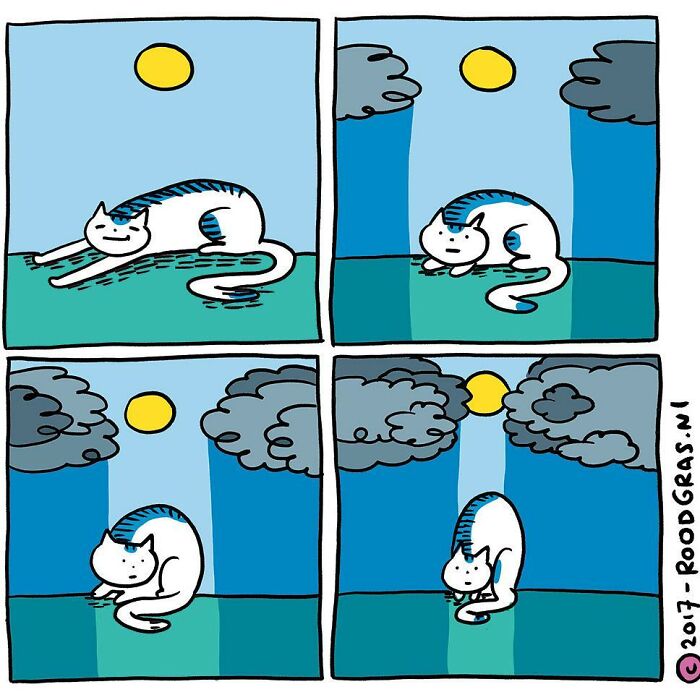 Artist Draws Cute Cat Comics And It Will Make Your Day (70 Pics)