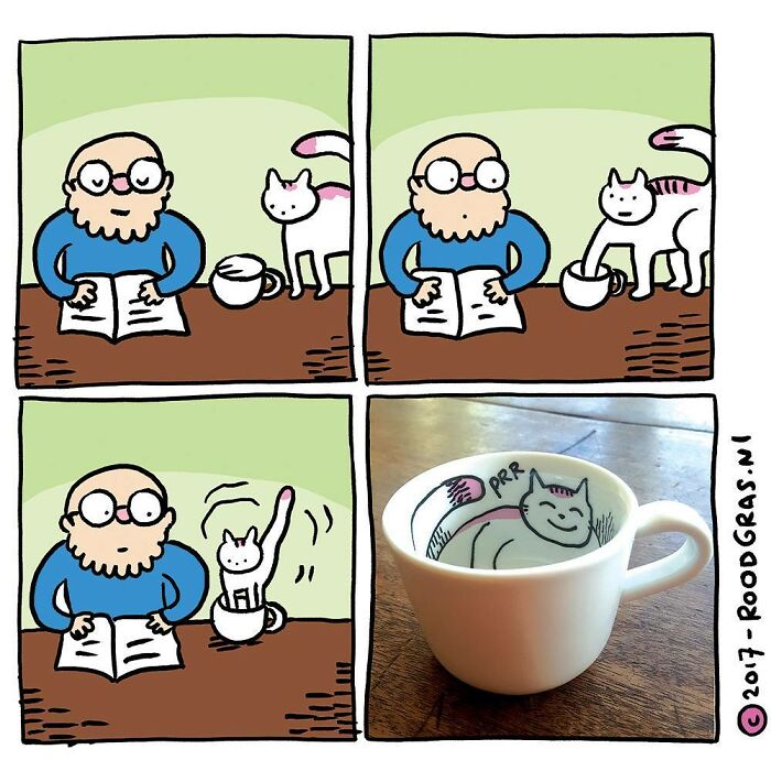 Artist Draws Cute Cat Comics And It Will Make Your Day (70 Pics)