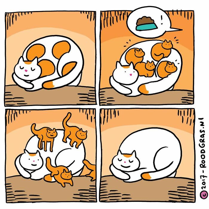 Artist Draws Cute Cat Comics And It Will Make Your Day (70 Pics)