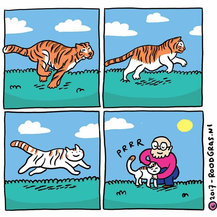 Artist Draws Cute Cat Comics And It Will Make Your Day (70 Pics)