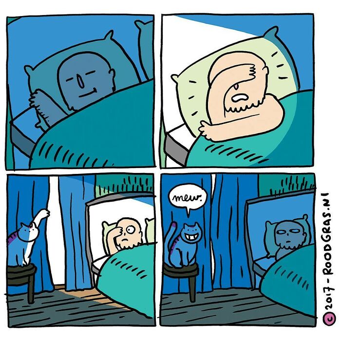 Artist Draws Cute Cat Comics And It Will Make Your Day (70 Pics)