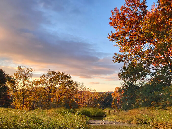 The Real Estate My Brother And I Bought Together. This Is Our Back Yard