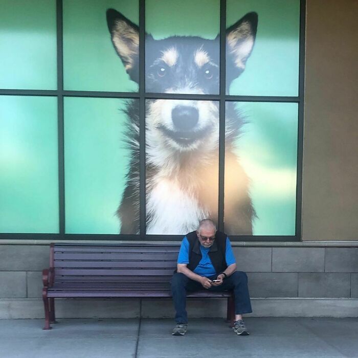 Funny-Miserable-Men-Waiting-Women-Shopping