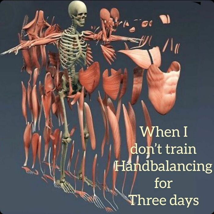 A skeleton surrounded by floating muscles, captioned with a handbalancing workout meme.