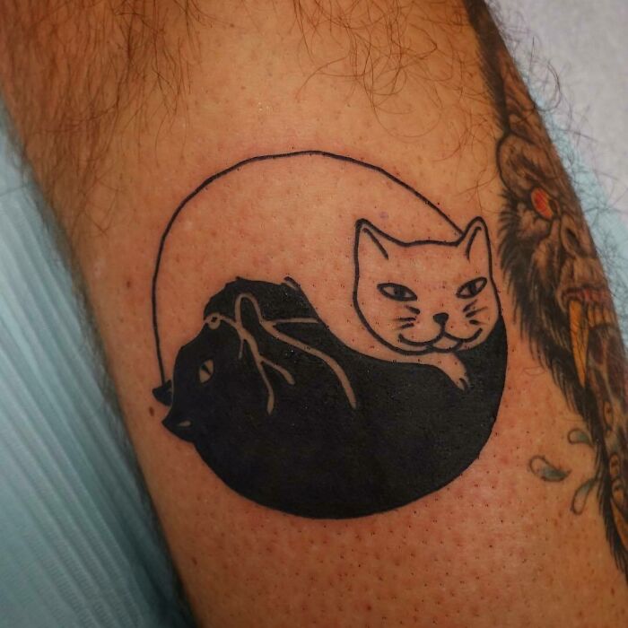 Black and white cat forming yin yang tattoo 